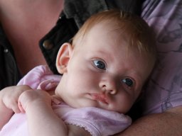 img_4593_web